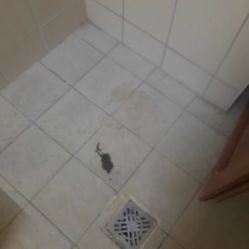 Neva Termal Otel | Afyon Hijyen Ve Güvenlik Sorunları Nedeniyle Ücret İadesi Talebi