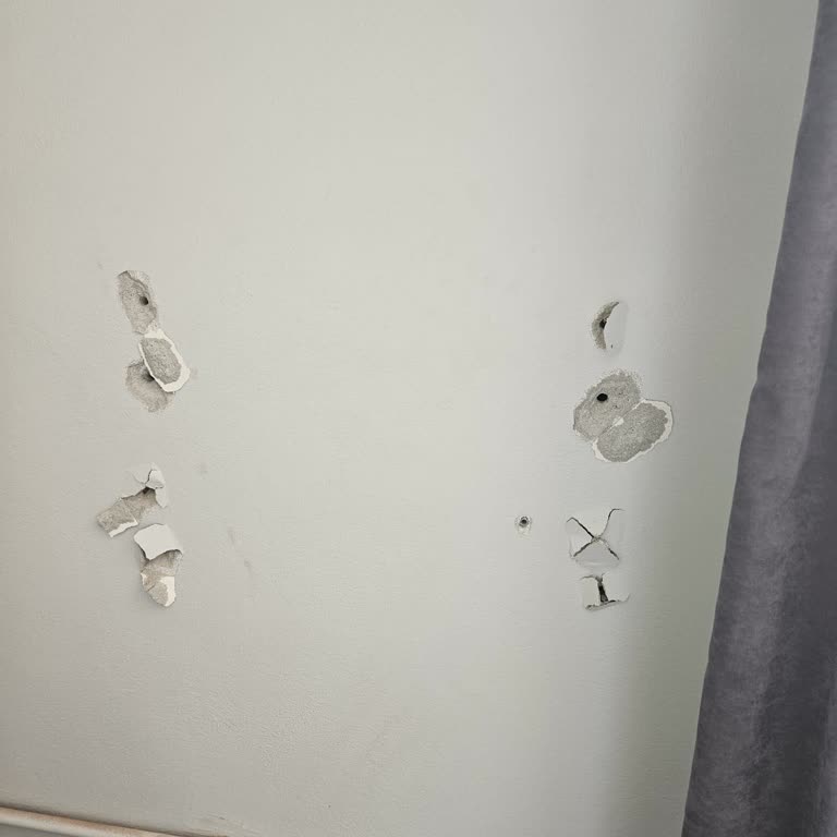 TCL Klimamın Demontaj Talebine Yanıt Gelmemesi Ve Planlarımın Bozulması