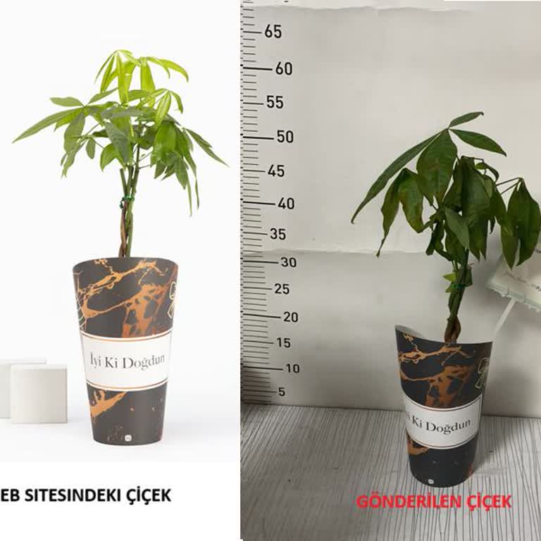 Çiçek Sepeti’nden Solmuş Çiçek Teslimatı Ve Cevapsız Müşteri Desteği