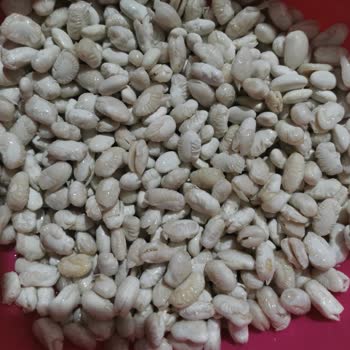 Duru Kuru Fasülye Kabukları Soyuldu