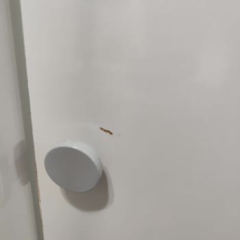 Çizik Ve Defolu Bebek Dolabı Nedeniyle Mağduriyet