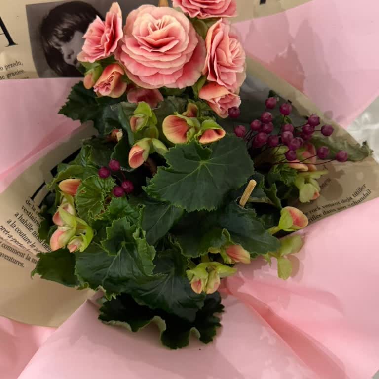 Tazecicek'ten Sipariş Edilen Çiçek Görseldekiyle Uyuşmadı Ve İade Bekliyorum