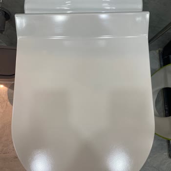 Terra Asma Klozet Kapak Sararması Ve Silikon Parçalarının Tuvalete Düşmesi