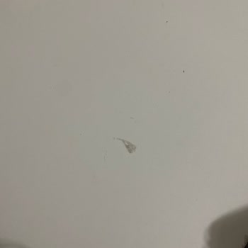 Mondi Mobilyada Kısa Sürede Kırılan Ayaklar Ve Çöken Sünger