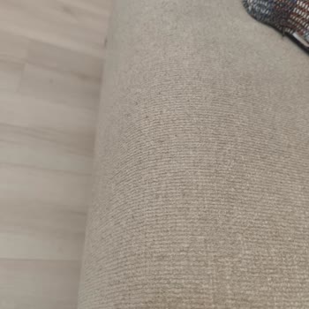 Atlanta Köşe Takımında Aşırı Tüylenme Ve Diğer Hasarlar İçin Garanti İstemi