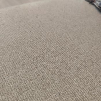 Atlanta Köşe Takımında Aşırı Tüylenme Ve Diğer Hasarlar İçin Garanti İstemi