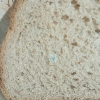 Happy Center Şikayetçiyim