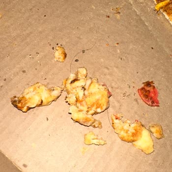 Ayrancı Şubesinde Hijyen İhlali Pizza İçinde Kıl Çıktı Ve Müşteri Hizmetine Ulaşılamadı