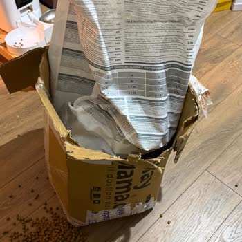 Kolaymama Koli İçindeki Kedi Maması Paketi Çoklu Yırtık Ve Dökülme