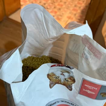 Kolaymama Koli İçindeki Kedi Maması Paketi Çoklu Yırtık Ve Dökülme