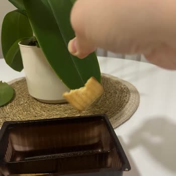 Eti Gıda Bisküviden Kıl Çıktı