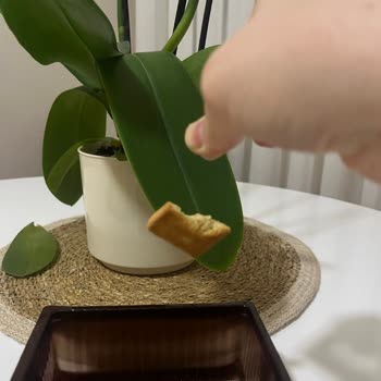 Eti Gıda Bisküviden Kıl Çıktı