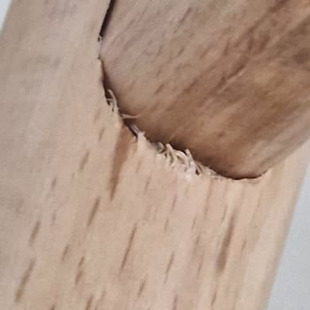 Engince Mobilya Pendik Şubesinde Ayıplı Yemek Masası Ve Koltuk Takımının İade Talebi