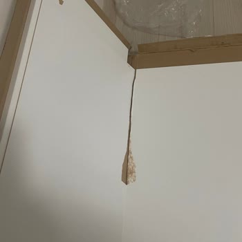 Kullanılmış BILLY Kitaplık Gönderimi Ve Uzayan Değişim Süreci