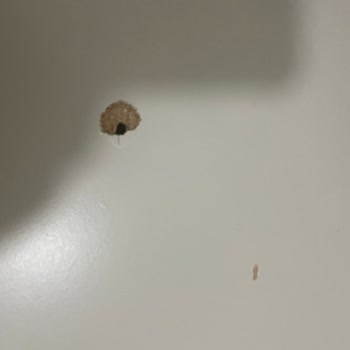 Kullanılmış BILLY Kitaplık Gönderimi Ve Uzayan Değişim Süreci