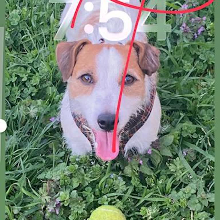 E-SIM'in Silinmesi Ve Müşteri Temsilcisine Ulaşılamaması