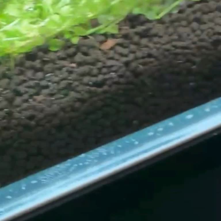 Dsn Akvaryum Ürünün Arkasında Durulmadı, Hatalı İmalata Rağmen Sorumluluk Alınmadı!