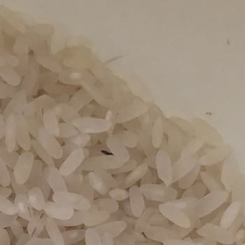 Böcekli Pirinç Ve Suçlayıcı Müşteri Temsilcisi Üzerine Şikayet