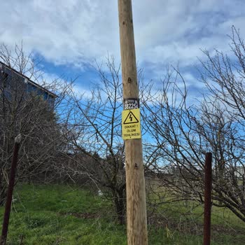 Tredaş’ın Direk Kabul Etmemesi Ve Hakaretli Davranışı