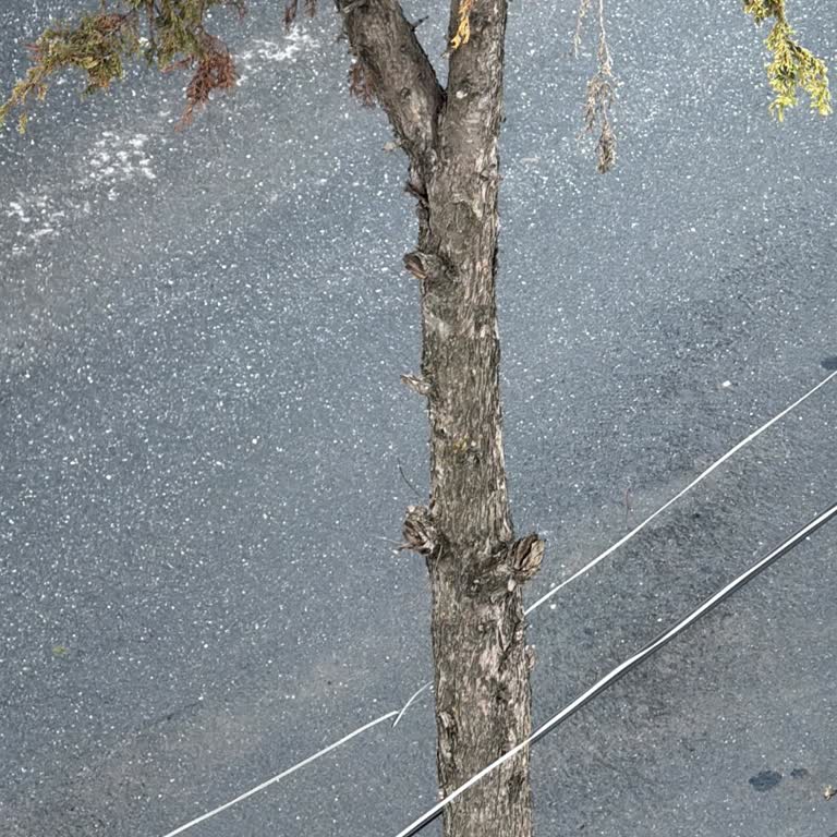 Kablonun Kopması Nedeniyle İnternetsiz Kalınması Ve Müşteri Hizmetlerinin Gecikmesi