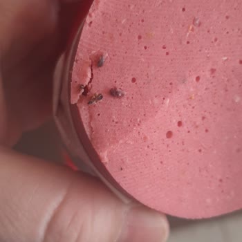 A101 Şubesinde Salamda Bulunan Yabancı Cisimler Tüketici Sağlığını Tehdit Ediyor