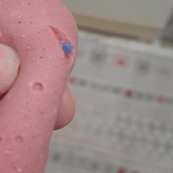 A101 Şubesinde Salamda Bulunan Yabancı Cisimler Tüketici Sağlığını Tehdit Ediyor