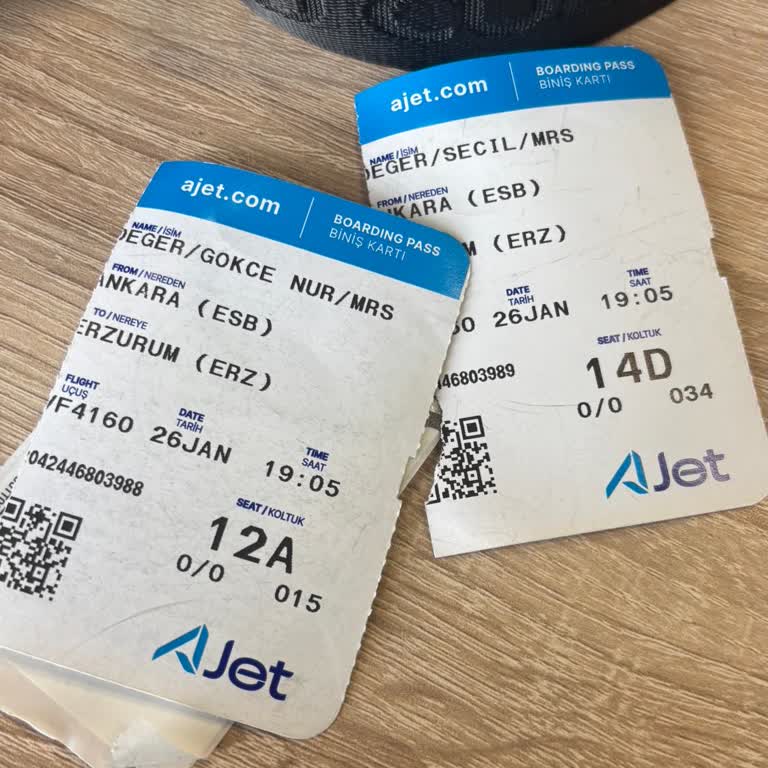 AJet Ankara–Erzurum Flight Delay And Diversion Complaint