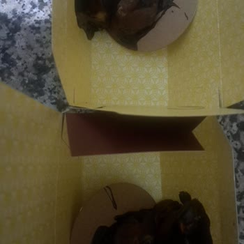 Devrilen Pastalarla Doğum Günü Mahvoldu, İade Talep Ediyorum