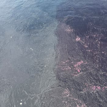 Muratoğlu Yapı Firmasından Gelen LM-500 Membran Ürününde Kalite Tutarsızlığı Ve İade Sorunu