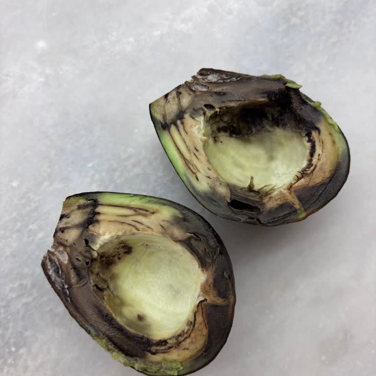 Kastamonu Kuzeykent Şubesinde Avokado İçleri Sürekli Çürük Ve Kararmış Çıkıyor