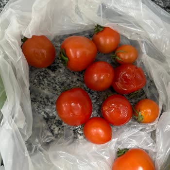 Roka Uygulamasında Bozuk Ürün Teslimi İçin İade Ve Özür Talebi