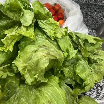 Roka Uygulamasında Bozuk Ürün Teslimi İçin İade Ve Özür Talebi