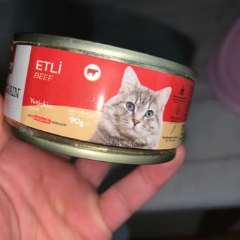 Kedinin Mamasında Küflü Tabakayı Şirket Vitamin Olarak Savundu