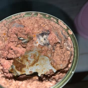 Kedinin Mamasında Küflü Tabakayı Şirket Vitamin Olarak Savundu