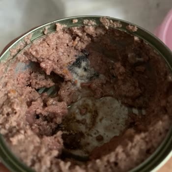Kedinin Mamasında Küflü Tabakayı Şirket Vitamin Olarak Savundu