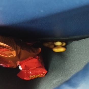 Kale Seyahat’te Gecikme Ve Kirli Otobüs Nedeniyle Ücret İadesi Talebi