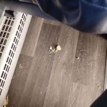 Kale Seyahat’te Gecikme Ve Kirli Otobüs Nedeniyle Ücret İadesi Talebi