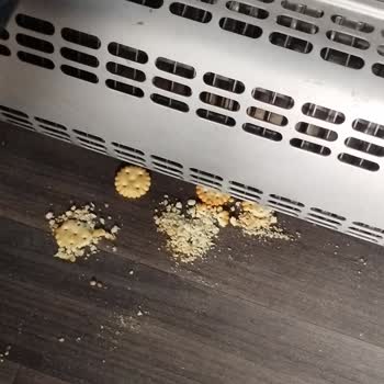 Kale Seyahat’te Gecikme Ve Kirli Otobüs Nedeniyle Ücret İadesi Talebi