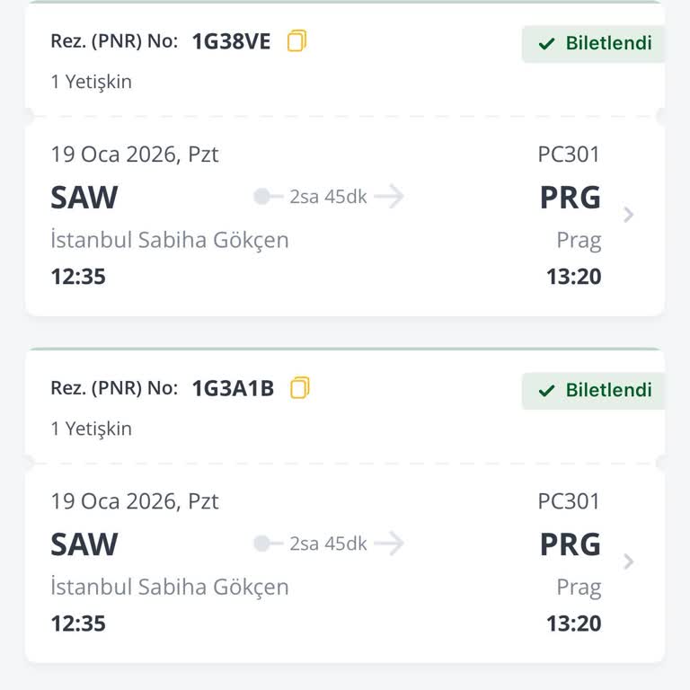 Pegasus Gecikmesi Ve Tek Dilim Kek İkramı!