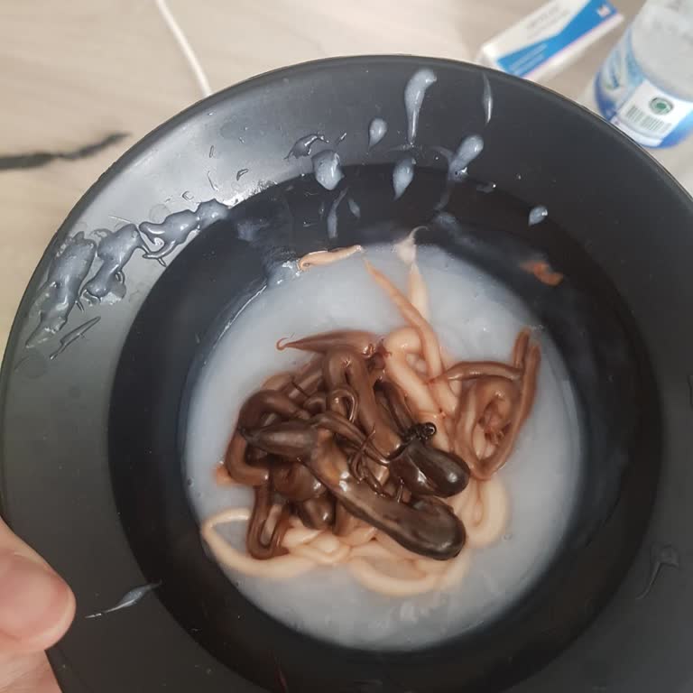 Palette Deluxe 5-88 Saç Boyasında Kıvam Bozukluğu Ve Renk Değişikliği: Ücret İadesi Talebi