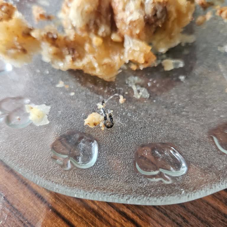 Tatlıcı Mahmut Usta Baklava’da Yabancı Cisim: Hijyen Açıklaması Talebi