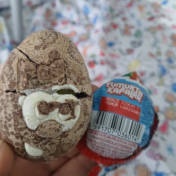 Şölen Ozmo Sürpriz Yumurtalarda Bozulma Ve Güven Sorunu