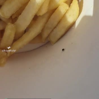 Burger King Patates Menümde Böcek Çıktı