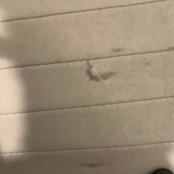 Hepsiburada Kusurlu Keten Koltuk Minderi Satışta Kalıyor