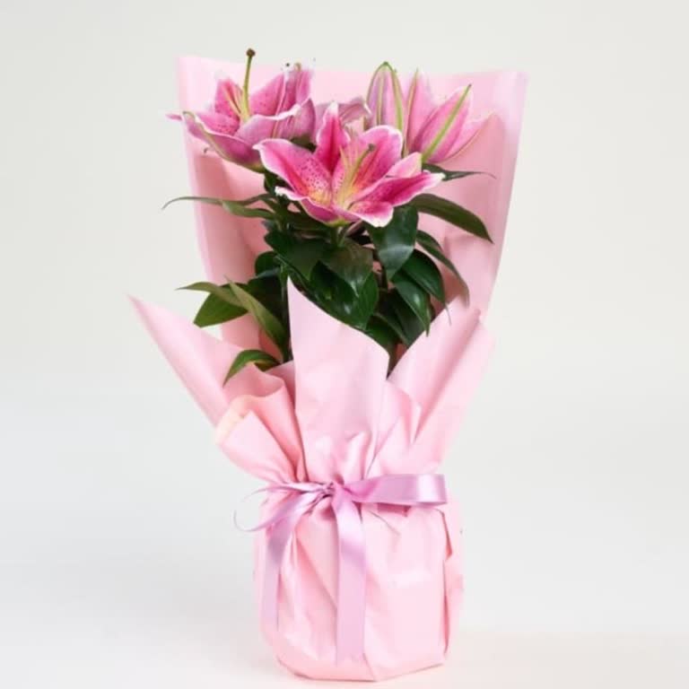 Ürün Görseli Ve Açıklama Tutarsızlığı, Müşteri Hizmetleri İlgisizliği