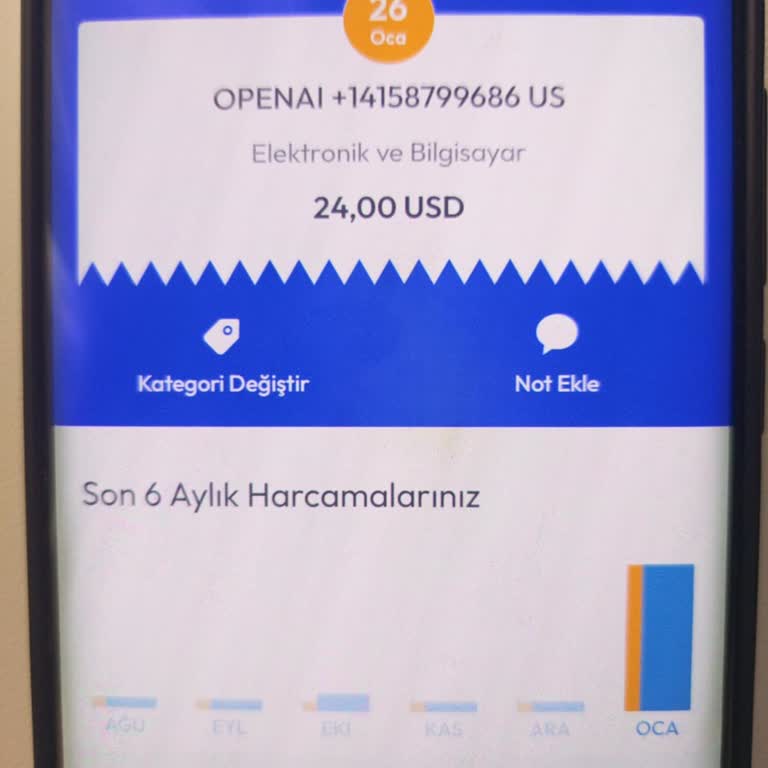 ChatGPT Aboneliği Aktif Edilmedi Ve Para İadesi Talebi