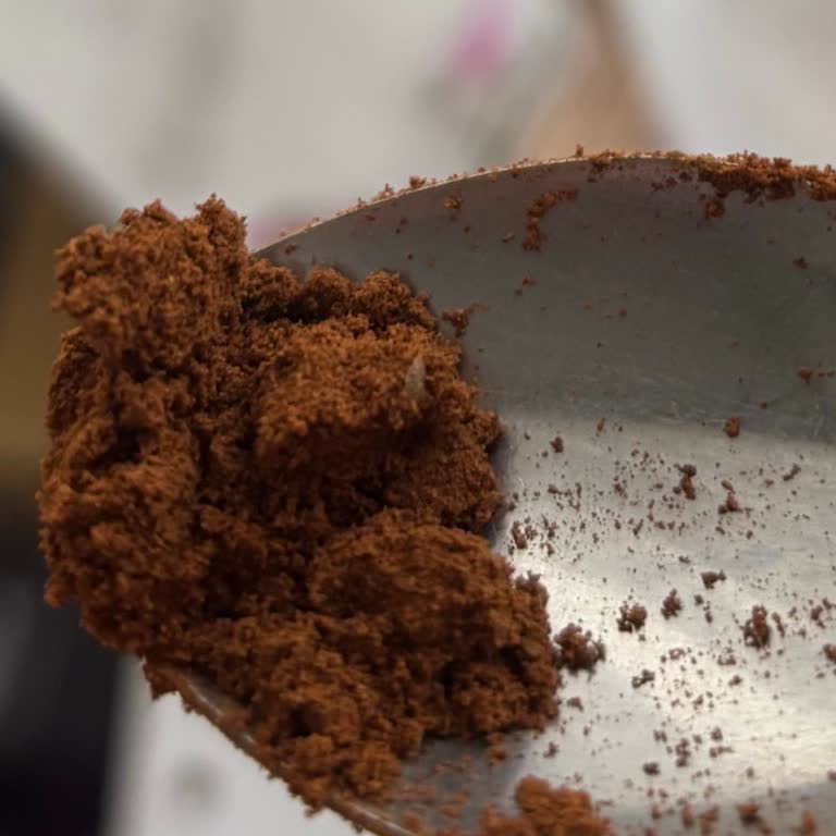 Yemeneli Türk Kahvesinde Larva Tespiti