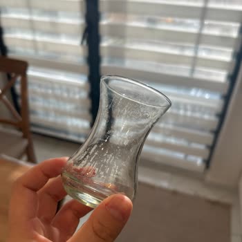 Beko BM545 Bulaşık Makinesinde Temizleme Ve Çizik Problemleri