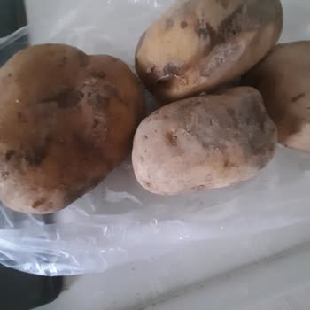 Yemeksepeti Market Çürük Patates Teslimi Yetersiz İade Ve Gıda Güvenliği İhmali