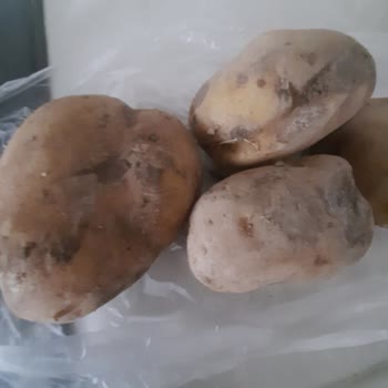 Yemeksepeti Market Çürük Patates Teslimi Yetersiz İade Ve Gıda Güvenliği İhmali